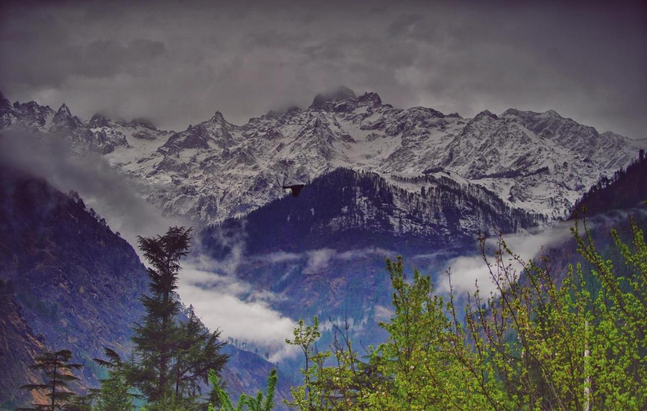Memoir Homestay Kasol Exterior foto