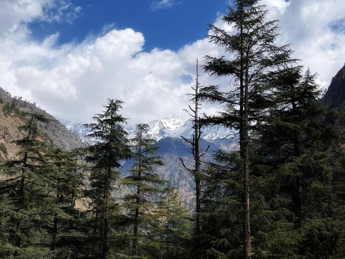 Memoir Homestay Kasol Exterior foto